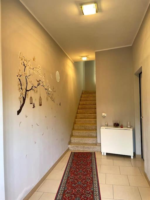 Stile E Comfort In Citta Con Wi-Fi Appartement Carpi Buitenkant foto